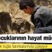 Afgan çocuklarının hayat mücadelesi: Binlerce çocuk tuğla fabrikalarında çalışıyor