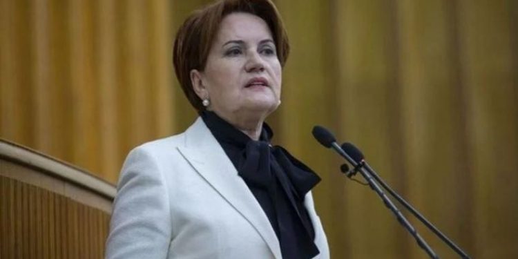 Akşener'den Bakan Nebati'ye tepki: Siz nesiniz, bostan korkuluğu mu?