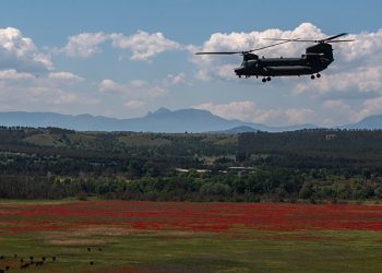Almanya, 60 adet Chinook tipi helikopter alacak