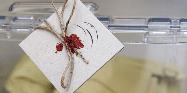 Altı muhalefet partisi, 'seçim güvenliği' için Türkiye Barolar Birliği’nde