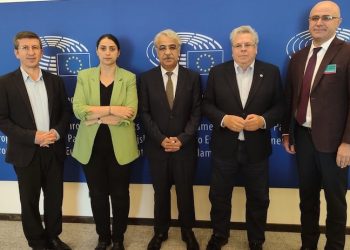 Amor: HDP’ye yönelik siyasi yasak, Türkiye demokrasisi için telafi edilemez bir darbe olur