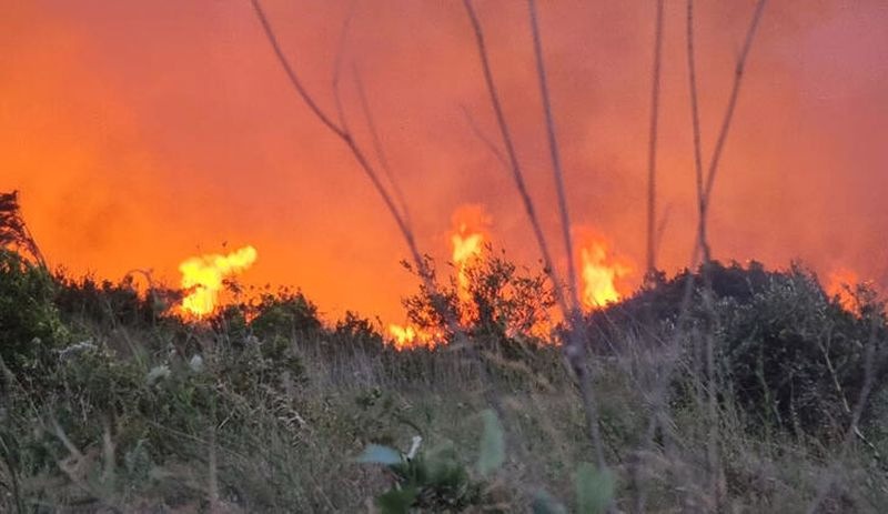 Antalya'da iki noktada çıkan yangınlar söndürüldü