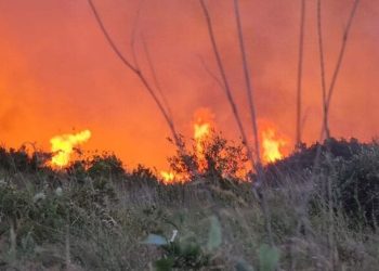 Antalya'da iki noktada çıkan yangınlar söndürüldü