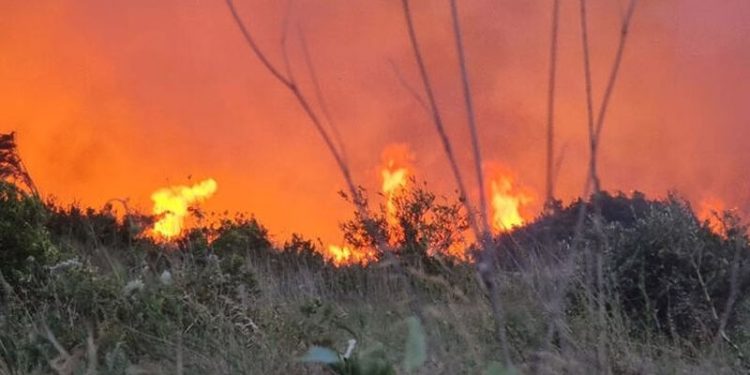 Antalya'da iki noktada çıkan yangınlar söndürüldü