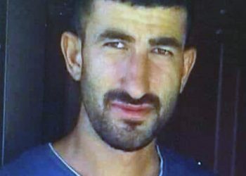 Arazi sularken yılan soktu, hayatını kaybetti