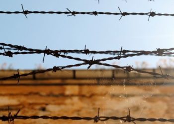 AİHM'den 'zorla' sınır dışı kararına tazminat: Türkiye, Suriyeli Akkad'a 12 bin 250 Euro ödeyecek