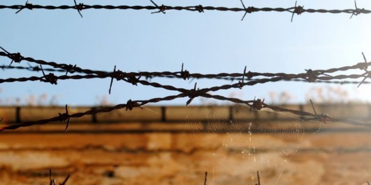 AİHM'den 'zorla' sınır dışı kararına tazminat: Türkiye, Suriyeli Akkad'a 12 bin 250 Euro ödeyecek