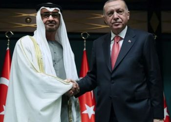 BAE, Türk ilaç şirketini satın alıyor