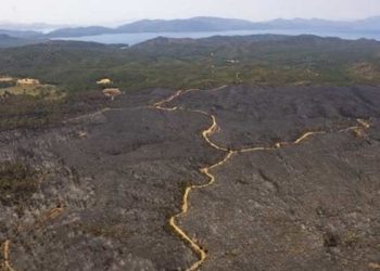 Bakan Kirişçi: Marmaris’te 4 bin 500 hektar alan yandı diyebiliriz