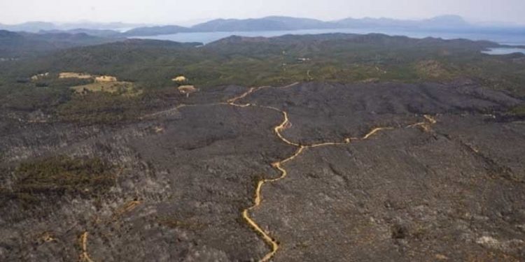 Bakan Kirişçi: Marmaris’te 4 bin 500 hektar alan yandı diyebiliriz