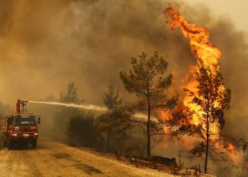 Bakanlıktan ‘orman yangını’ genelgesi: Provokatif paylaşımlarla ilgili işlemler ivedilikle başlatılmalı