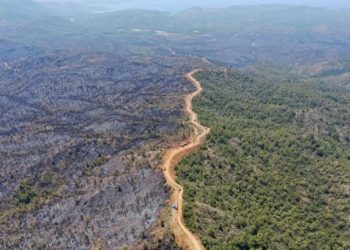 Bakanı Vahit Kirişci: Marmaris'te yangın tamamen kontrol altına alındı