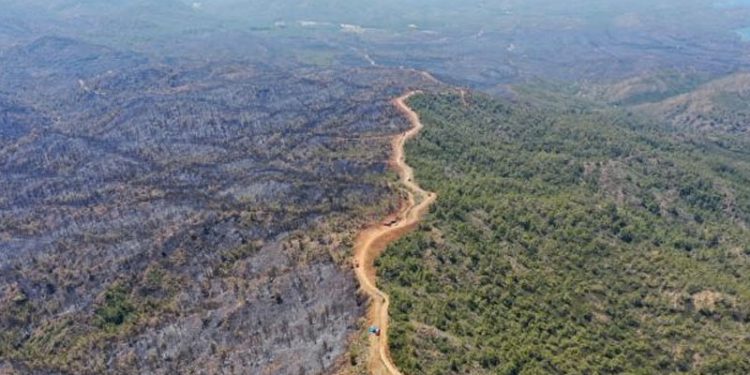 Bakanı Vahit Kirişci: Marmaris'te yangın tamamen kontrol altına alındı
