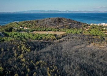 Balıkesir'de ormanlık alanlara giriş çıkışlar yasaklandı