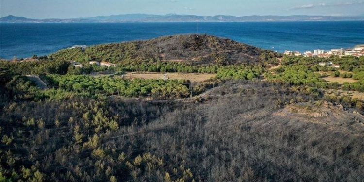 Balıkesir'de ormanlık alanlara giriş çıkışlar yasaklandı