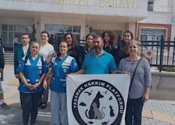 Bartın'da 'köpeğe cinsel saldırıda' bulunan sanığa hapis cezası
