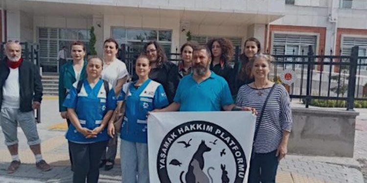 Bartın'da 'köpeğe cinsel saldırıda' bulunan sanığa hapis cezası