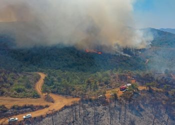 Belediye Başkanı açıkladı: Marmaris’te 4 bin 813 futbol sahası büyüklüğünde orman yandı