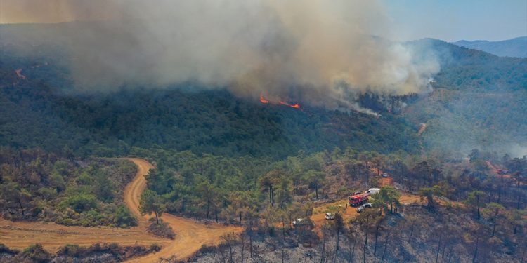 Belediye Başkanı açıkladı: Marmaris’te 4 bin 813 futbol sahası büyüklüğünde orman yandı