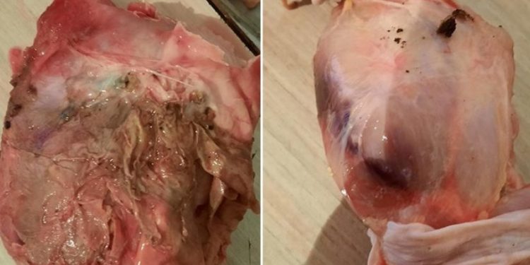 Beypiliç'ten mide bulandıran görüntüye yanıt: 'Kokuşma ve kurtlanma mümkün değil'