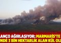 Bilan&ccedil;o ağırlaşıyor; Marmaris&rsquo;te iki g&uuml;nde 3 bin hektarlık alan k&uuml;l oldu