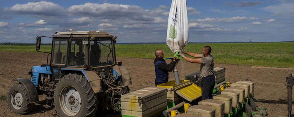 Birleşmiş Milletler Gıda ve Tarım Örgütü (FAO): Küresel gıda fiyatları mayıs ayında düştü