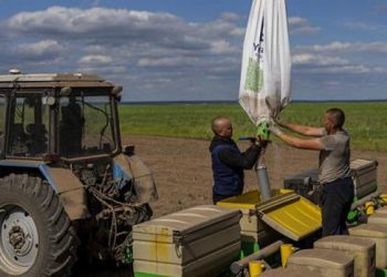 Birleşmiş Milletler Gıda ve Tarım Örgütü (FAO): Küresel gıda fiyatları mayıs ayında düştü