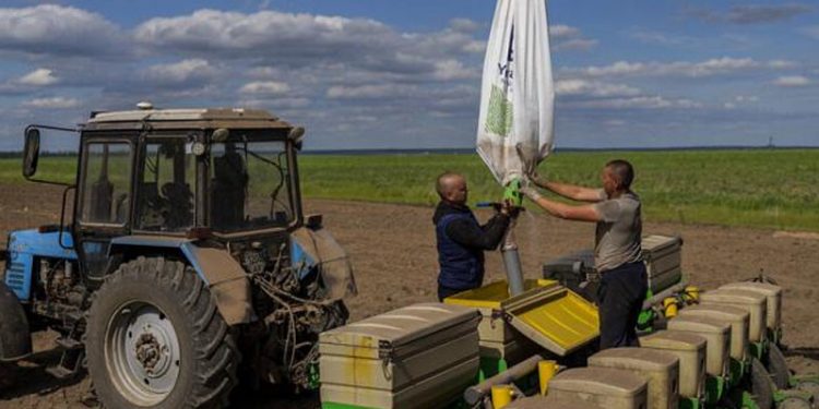 Birleşmiş Milletler Gıda ve Tarım Örgütü (FAO): Küresel gıda fiyatları mayıs ayında düştü
