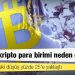 Bitcoin: En büyük kripto para birimi neden çöküyor?