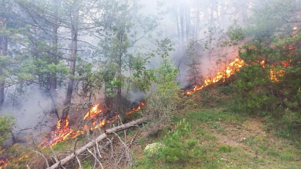 Bolu’da orman yangını çıktı