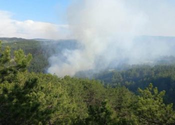 Bolu'da orman yangını: 1 hektar alan zarar gördü
