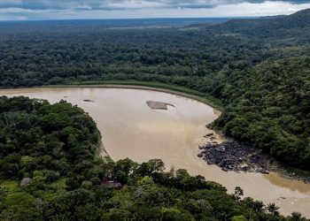 Brezilya polisi İngiliz gazeteci Dom Philips'in Amazonlarda öldürüldüğünü doğruladı