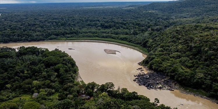Brezilya polisi İngiliz gazeteci Dom Philips'in Amazonlarda öldürüldüğünü doğruladı