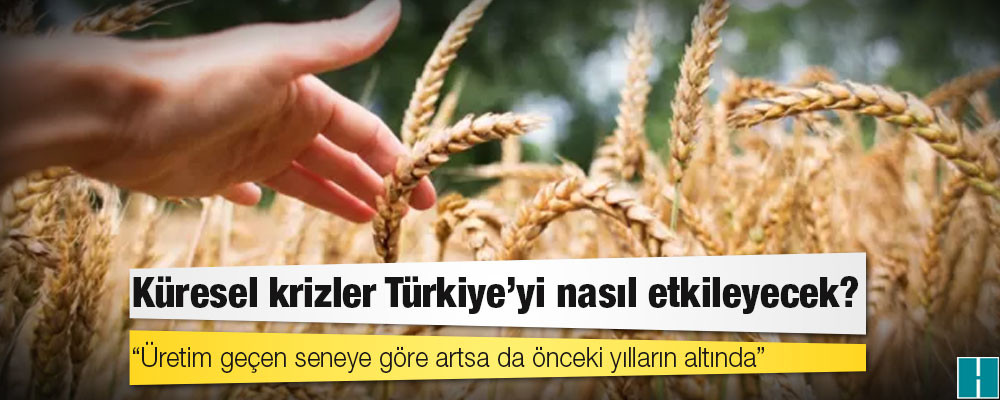 Buğday fiyatları: Küresel krizler Türkiye'yi nasıl etkileyecek?