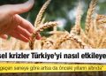 Buğday fiyatları: Küresel krizler Türkiye'yi nasıl etkileyecek?