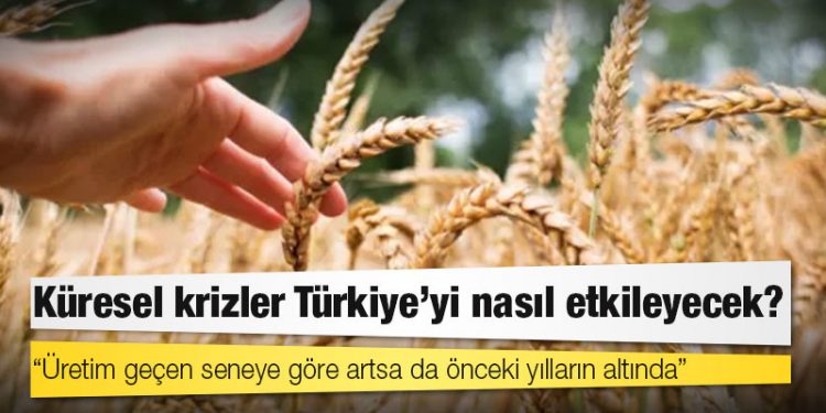 Buğday fiyatları: Küresel krizler Türkiye'yi nasıl etkileyecek?