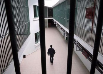 CİSST raporu: Bir yılda bin 572 başvuru yapıldı