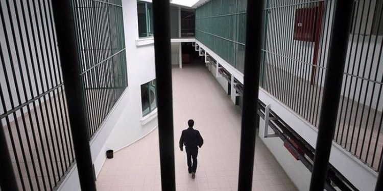 CİSST raporu: Bir yılda bin 572 başvuru yapıldı