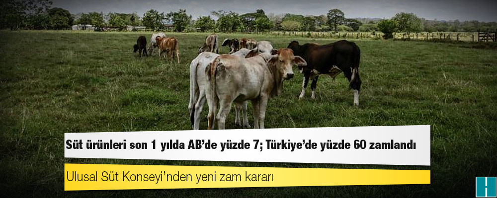 Dünya Süt Günü: Süt ürünleri son 1 yılda AB'de yüzde 7; Türkiye'de yüzde 60 zamlandı