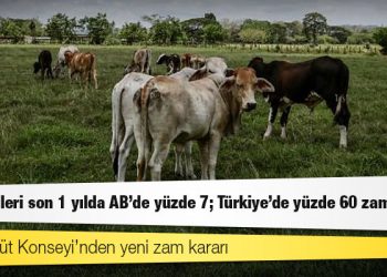 Dünya Süt Günü: Süt ürünleri son 1 yılda AB'de yüzde 7; Türkiye'de yüzde 60 zamlandı