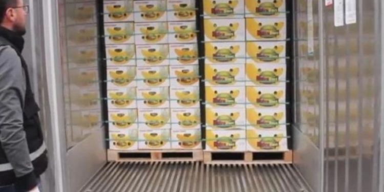 Ekvador'da bir 'muz konteyneri' vakası daha: Mersin Limanı yolcusu 845 kilo eroin yakalandı