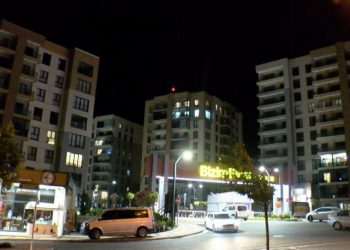Engelli ağabeyini silahla vurup öldürdü