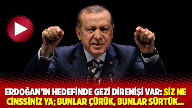 Erdoğan'ın hedefinde Gezi direnişi var: Siz ne cinssiniz ya; bunlar çürük, bunlar sürtük…