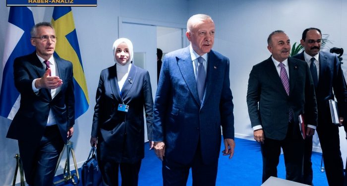 Erdoğan dışarıda uysal kedi, içeride kükreyen aslan