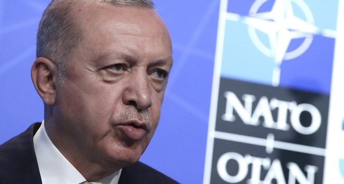 Erdoğan, İsveç ve Finlandiya’yı veto etmekle neyi amaçlıyor?