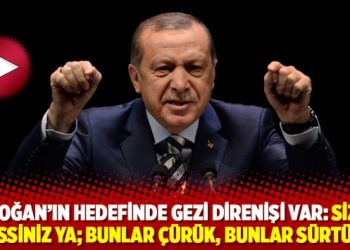 Erdoğan'ın hedefinde Gezi direnişi var: Siz ne cinssiniz ya; bunlar &ccedil;&uuml;r&uuml;k, bunlar s&uuml;rt&uuml;k&hellip;
