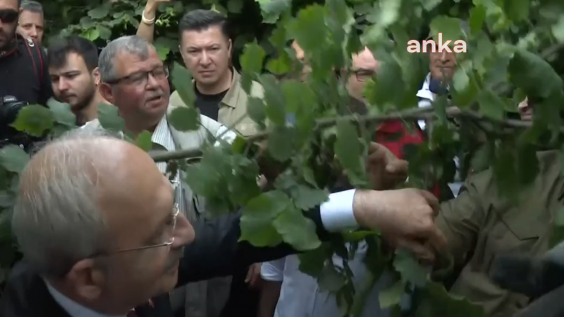 Fındık üreticisi Kılıçdaroğlu'na anlattı: 'Açıkça bir vurgun ve soygun yaşanıyor'