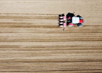 FAO'dan 'gıda darlığı kapıda' uyarısı