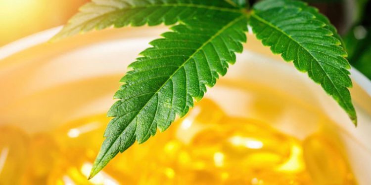 Fas'ta esrar yasallaşıyor