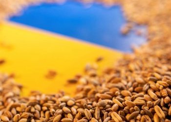 Fransa ve Türkiye'den Ukrayna tahılı için 'rakip' planlar